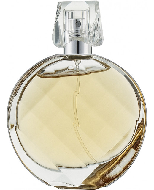 Elizabeth Arden Untold