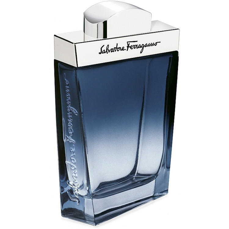 Ferragamo Subtil Pour Homme