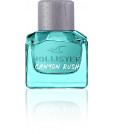 Hollister Canyon Rush For Him