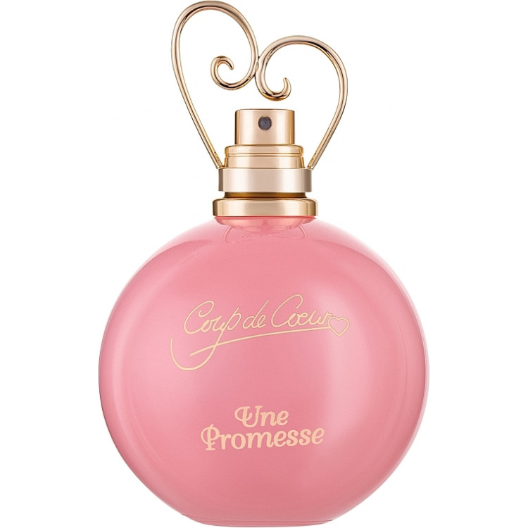Coup De Coeur Une Promesse