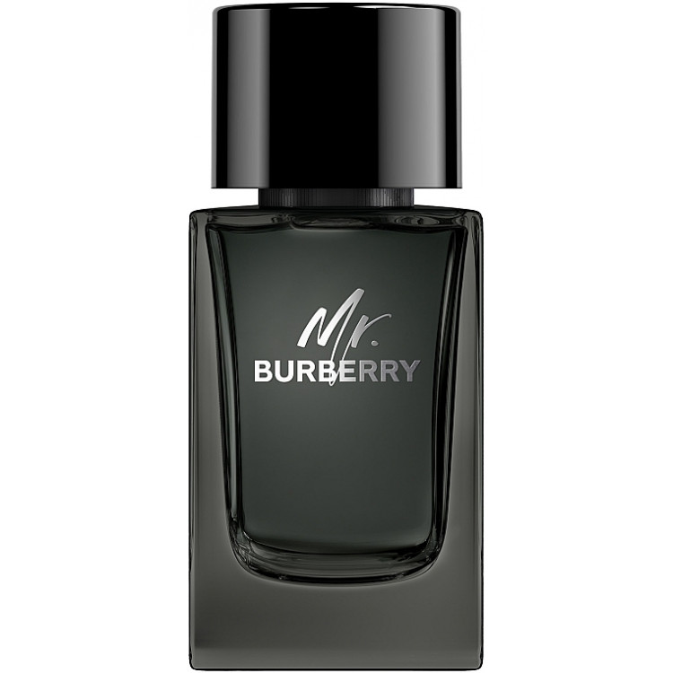 Burberry Mr. Burberry