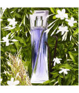 Lancome Hypnose