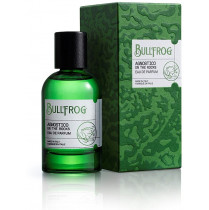 Bullfrog Agnostico On The Rocks