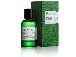 Bullfrog Agnostico On The Rocks