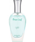Chat D'or Green Leaf