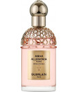 Guerlain Aqua Allegoria Forte Rosa Rossa Eau