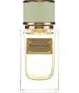 Dolce & Gabbana Velvet Pure